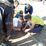 IMG_20171124_113940