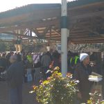 IMG_20190311_113426-web
