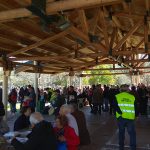 IMG_20190311_113452-web