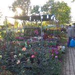 IMG_20190503_192513web