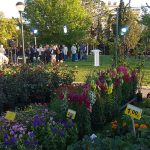 IMG_20190503_192531web