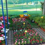 IMG_20190503_192639web