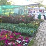 IMG_20190503_192650web’