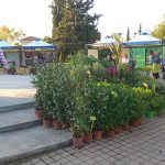 IMG_20190503_192711web