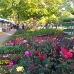 IMG_20190503_192722web
