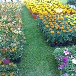 IMG_20190503_192748web