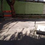 IMG-6594